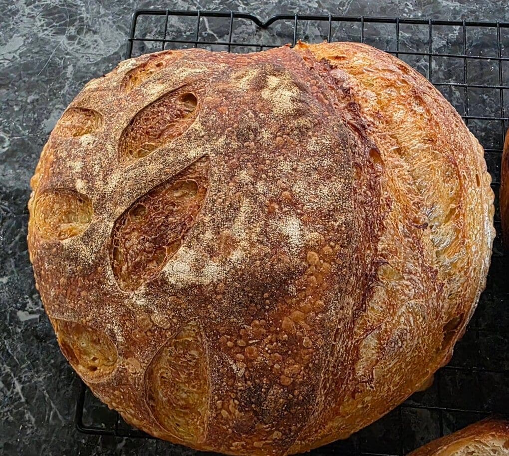 A Classic Plain sourdough loaf with a leaf-scored crust on a cooling rack